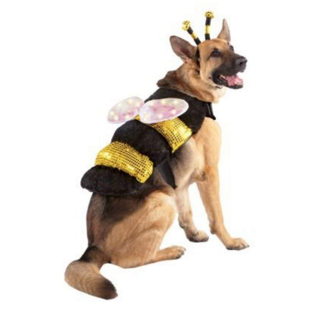 German Shepherd in Bee Costume