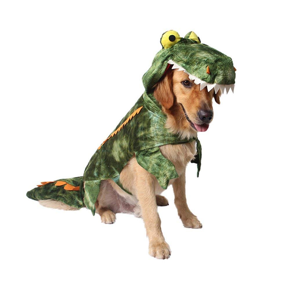 Golden Retriever in Crocodile Costume