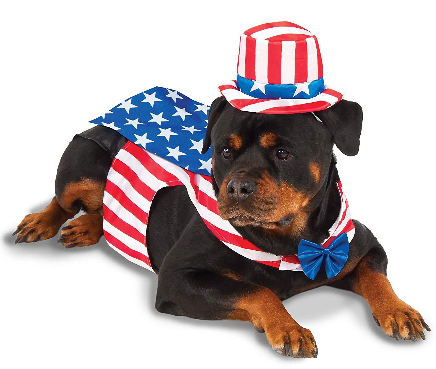 Rottweiler in Uncle Sam costume