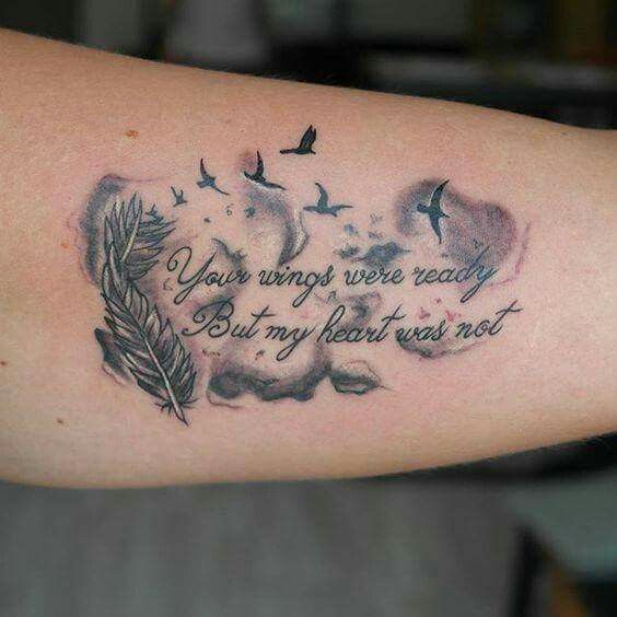 feather and flying birds with a quote 