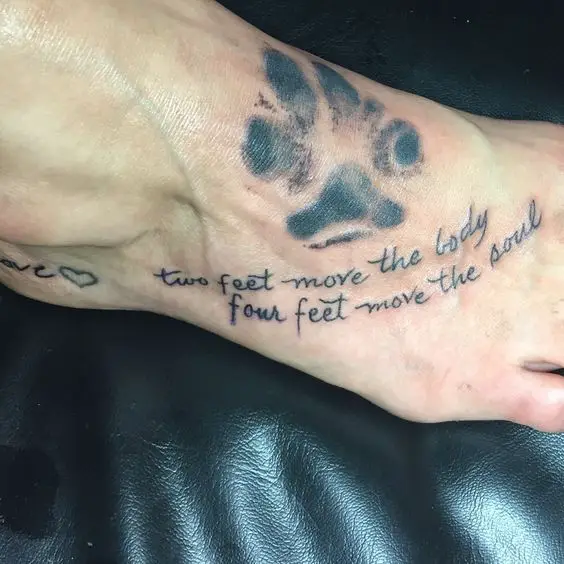 paw print with quote 