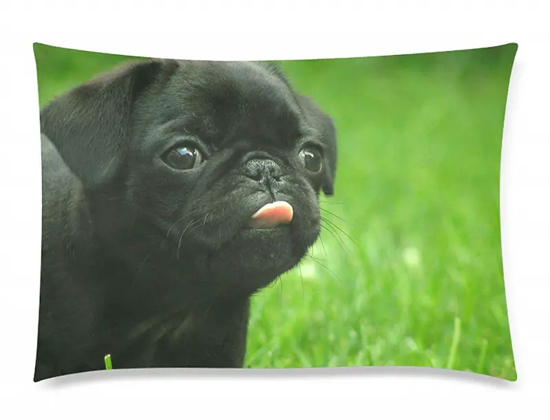 A Pug Puppy Pillow Case