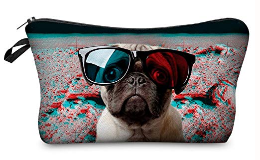 A Pouch with a pugs face