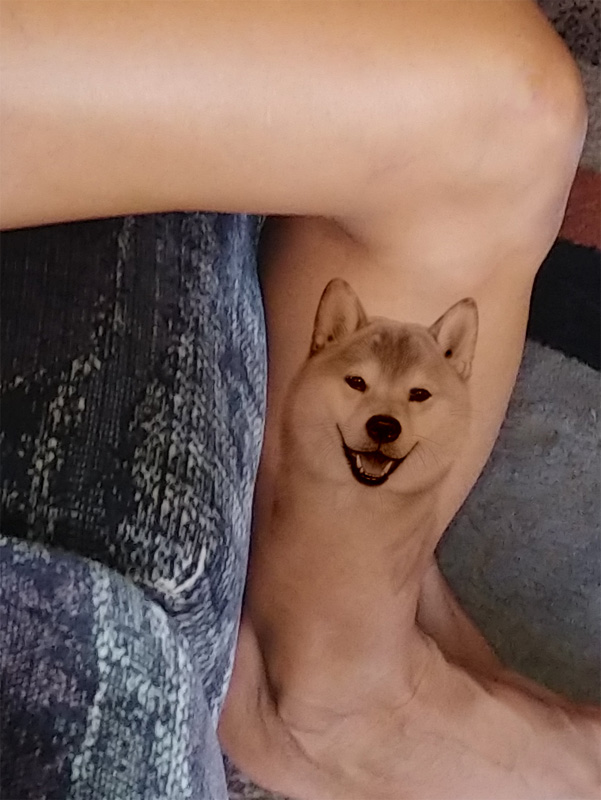 face of a Shiba Inu in soft tattoo on the leg