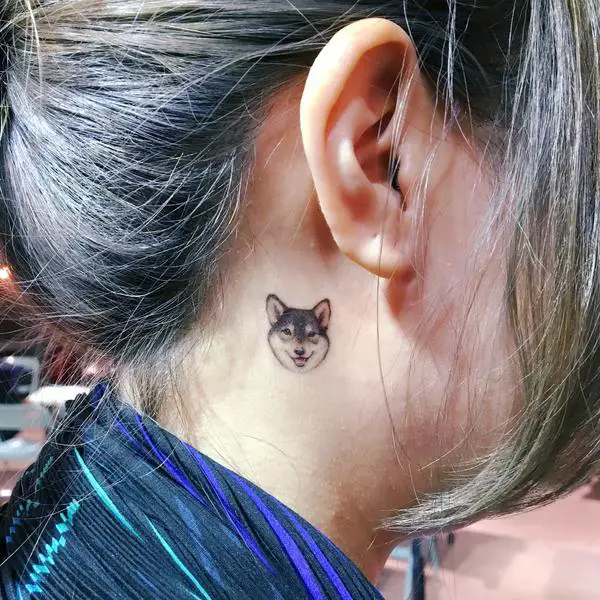 small face of Shiba Inu tattoo on the back of the ear