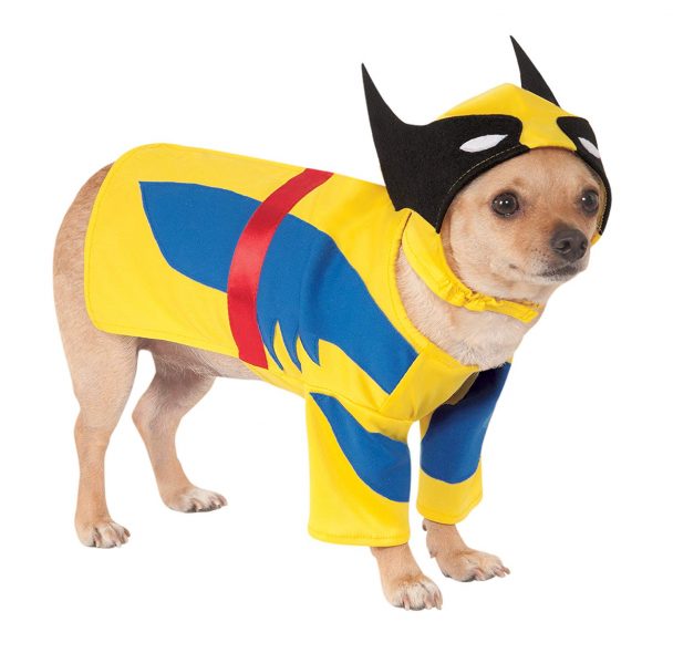 50 Best Small Dog Halloween Costumes | The Paws