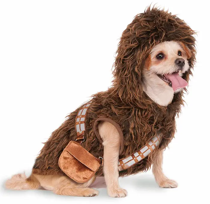 Small dog breed sitting in an isolated white background wearing a Chewbacca Hoodie Dog Costume