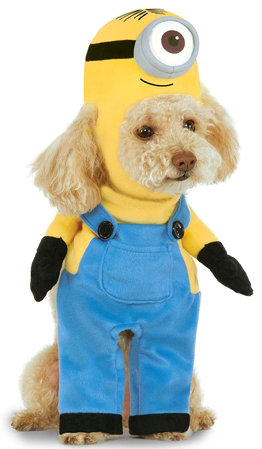 Small dog breed wearing a Minion Costume