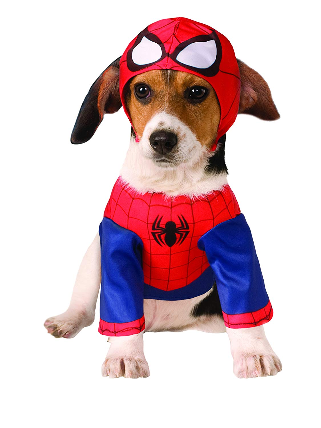 Beagle sitting in an isolated white background wearing a spiderman costume