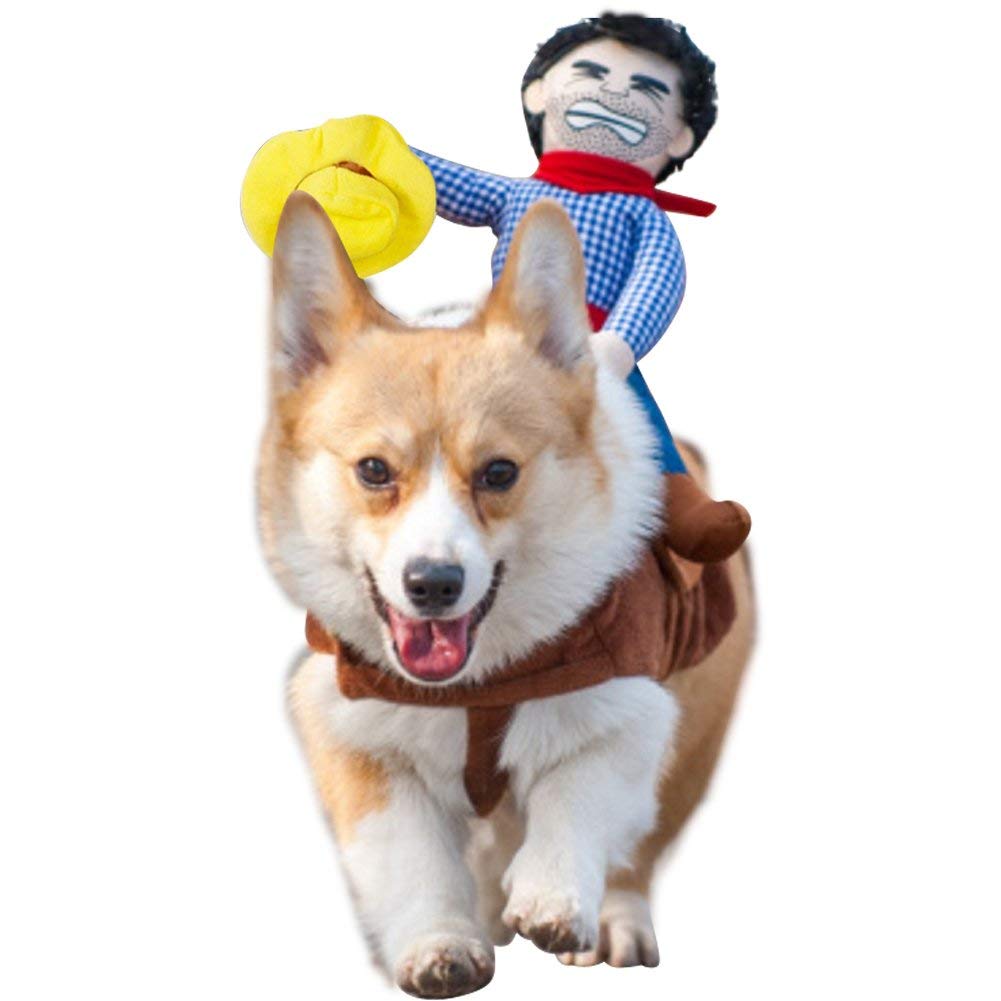 Running Corgi in an isolated white background wearing a Cowboy Rider Dog Costume