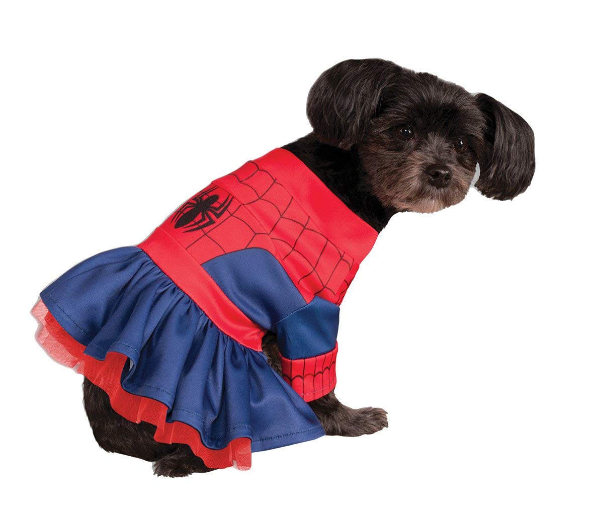Small dog breed in Spider-Girl Dog Costume