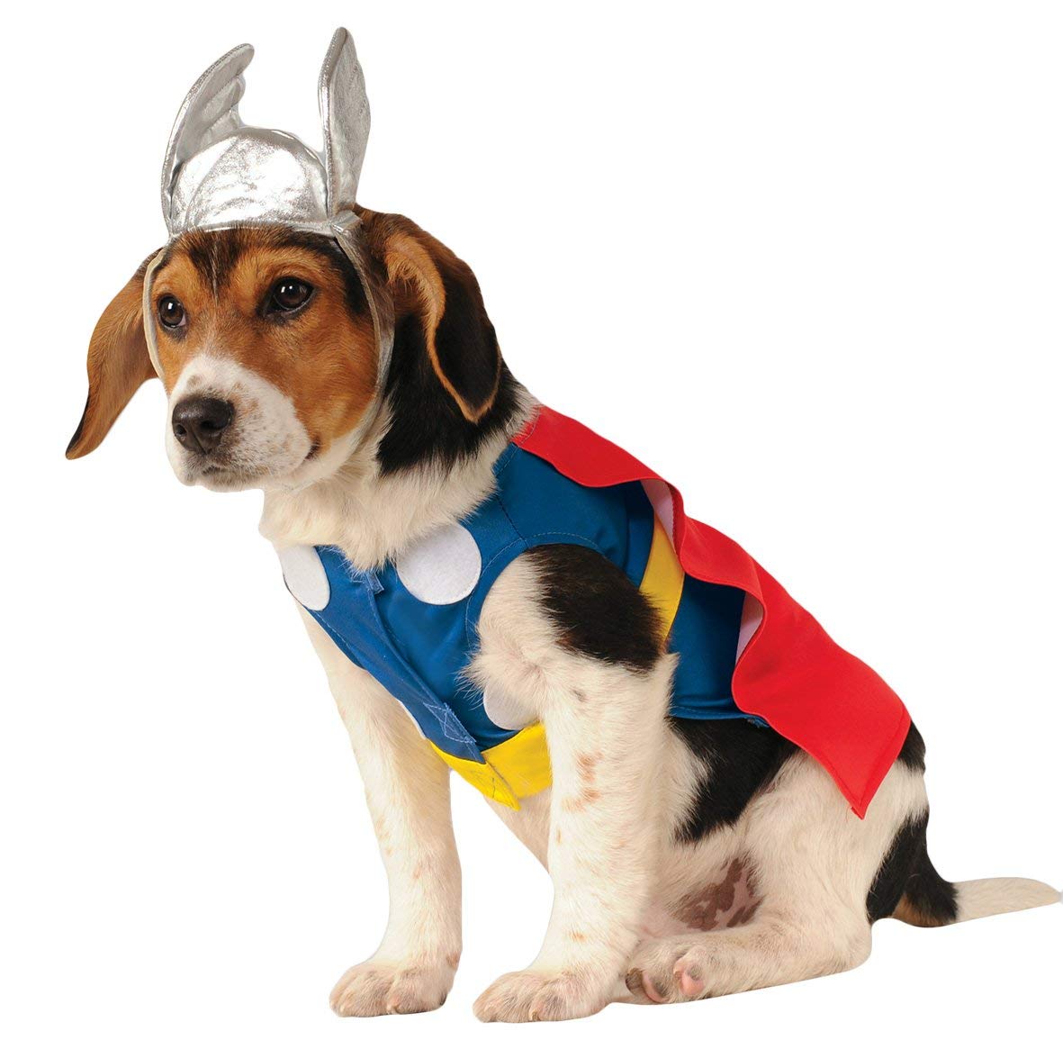 Beagle sitting in an isolated white background wearing a Thor Costume