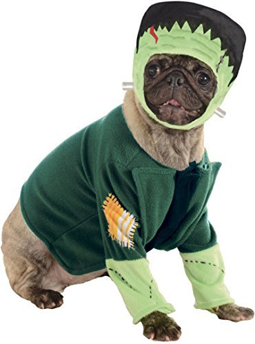 Pug sitting in an isolated white background wearing a Frankenstein Dog Costume