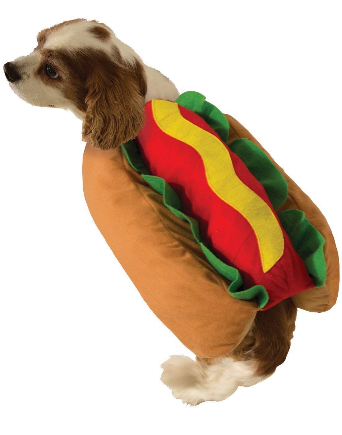 cocker spaniel puppy in hotdog costume