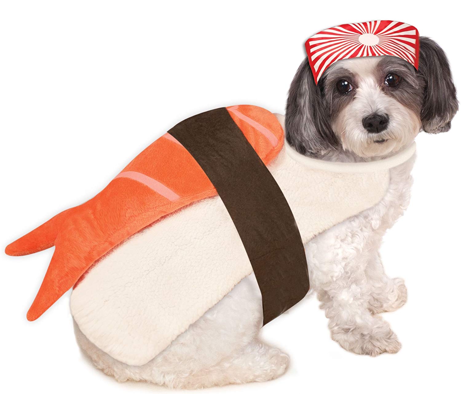 Small dog breed wearing a Sushi Dog Costume