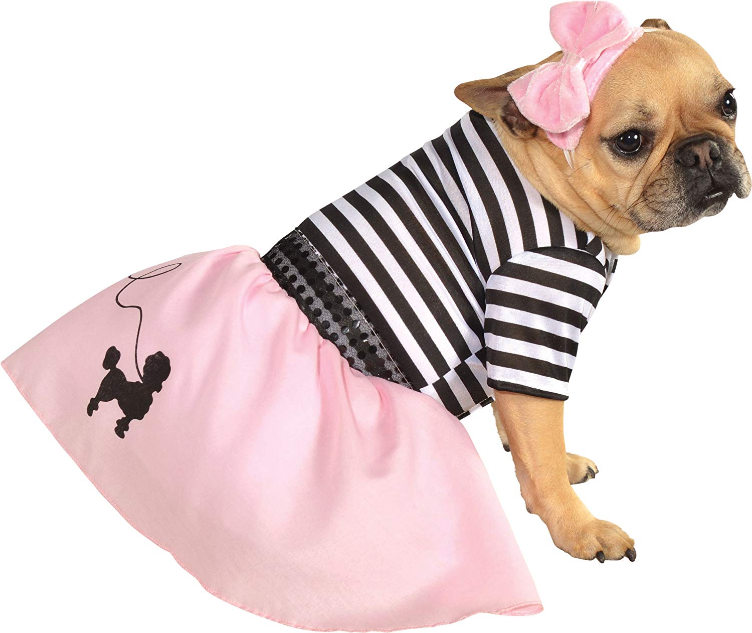 Small dog breed wearing a Pink Fifties Girl Dog Costume