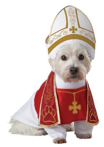 Small dog breed wea;ring a Holy Hound Dog Costume in an isolated white background