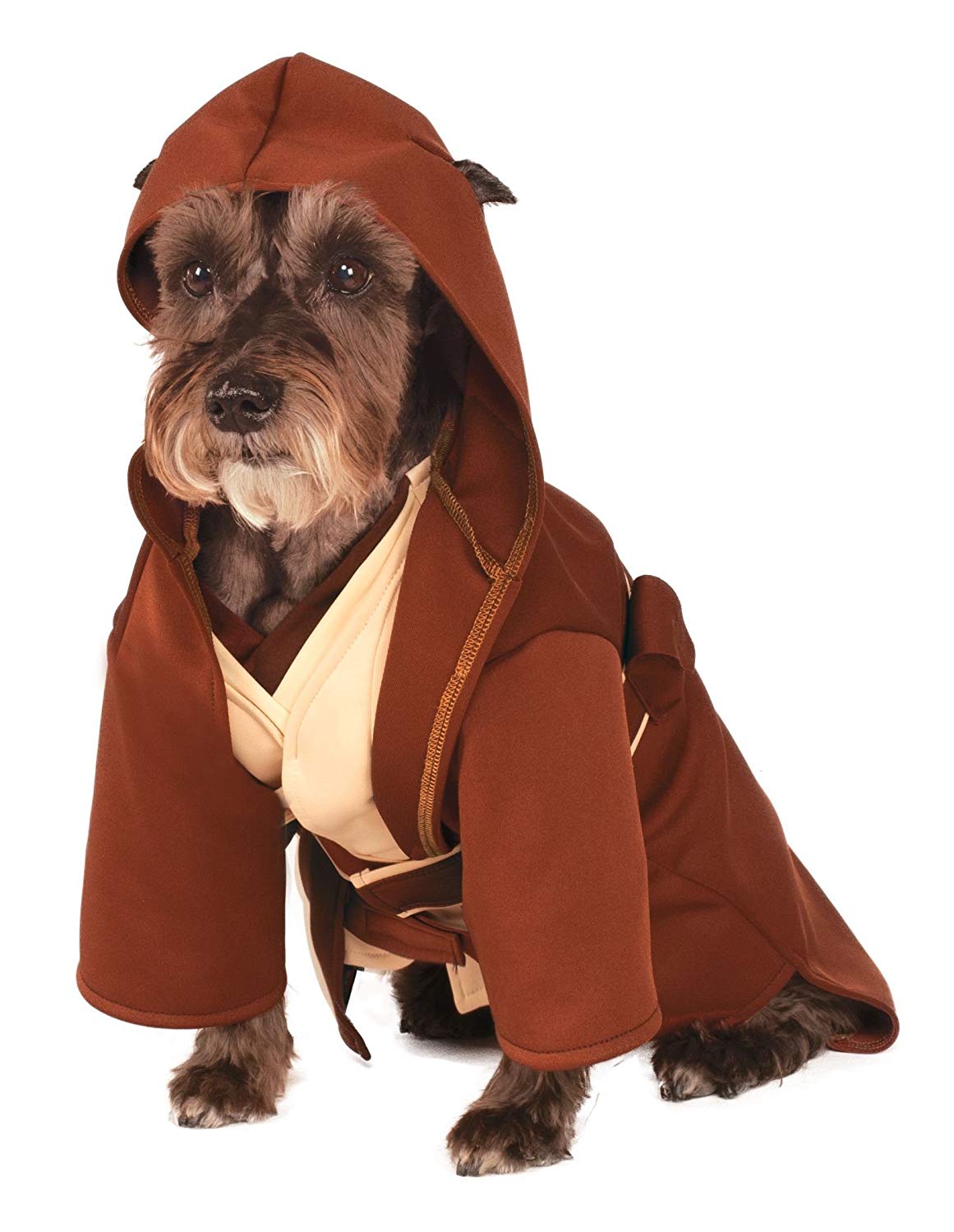 Small dog breed wearing a Star Wars Jedi Dog Costume in an isolated white background