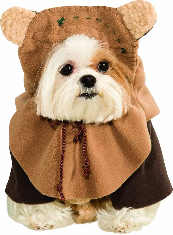Shih Tzu wearing an Ewok Dog Costume in an isolated white background