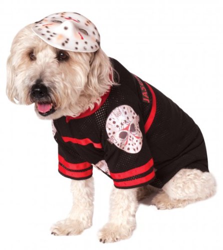 Maltese sitting in a isolated white background wearing a Friday The 13th Jason Pet Costume