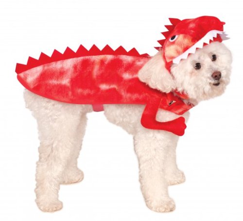 Small dog breed wearing a Raptor Dinosaur Dog Costume