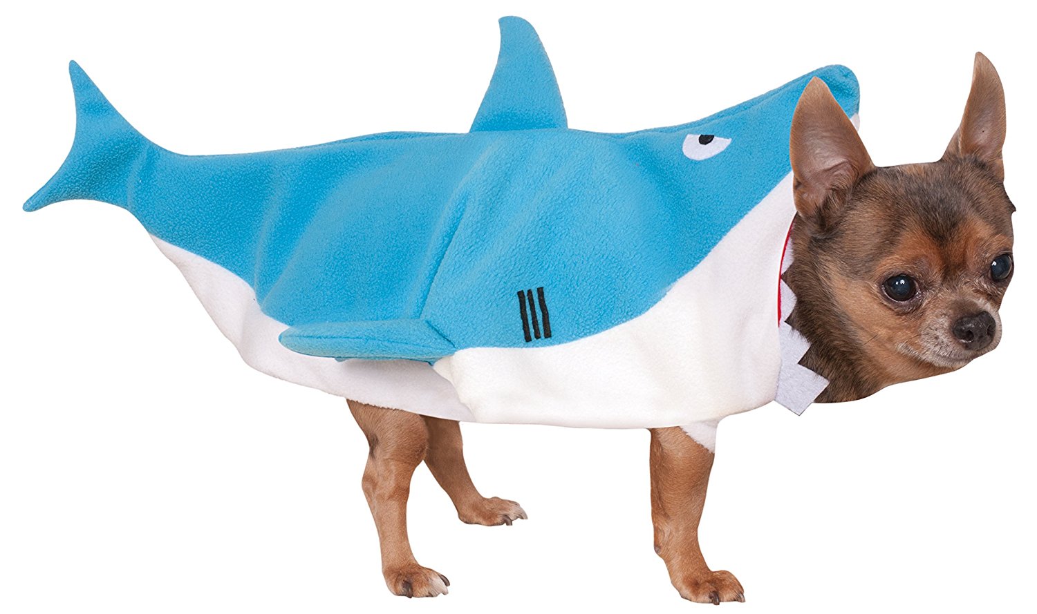 Chihuahua in Shark Dog Costume