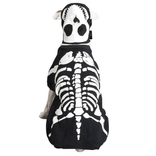 Small dog breed sitting back showing its skeleton costume