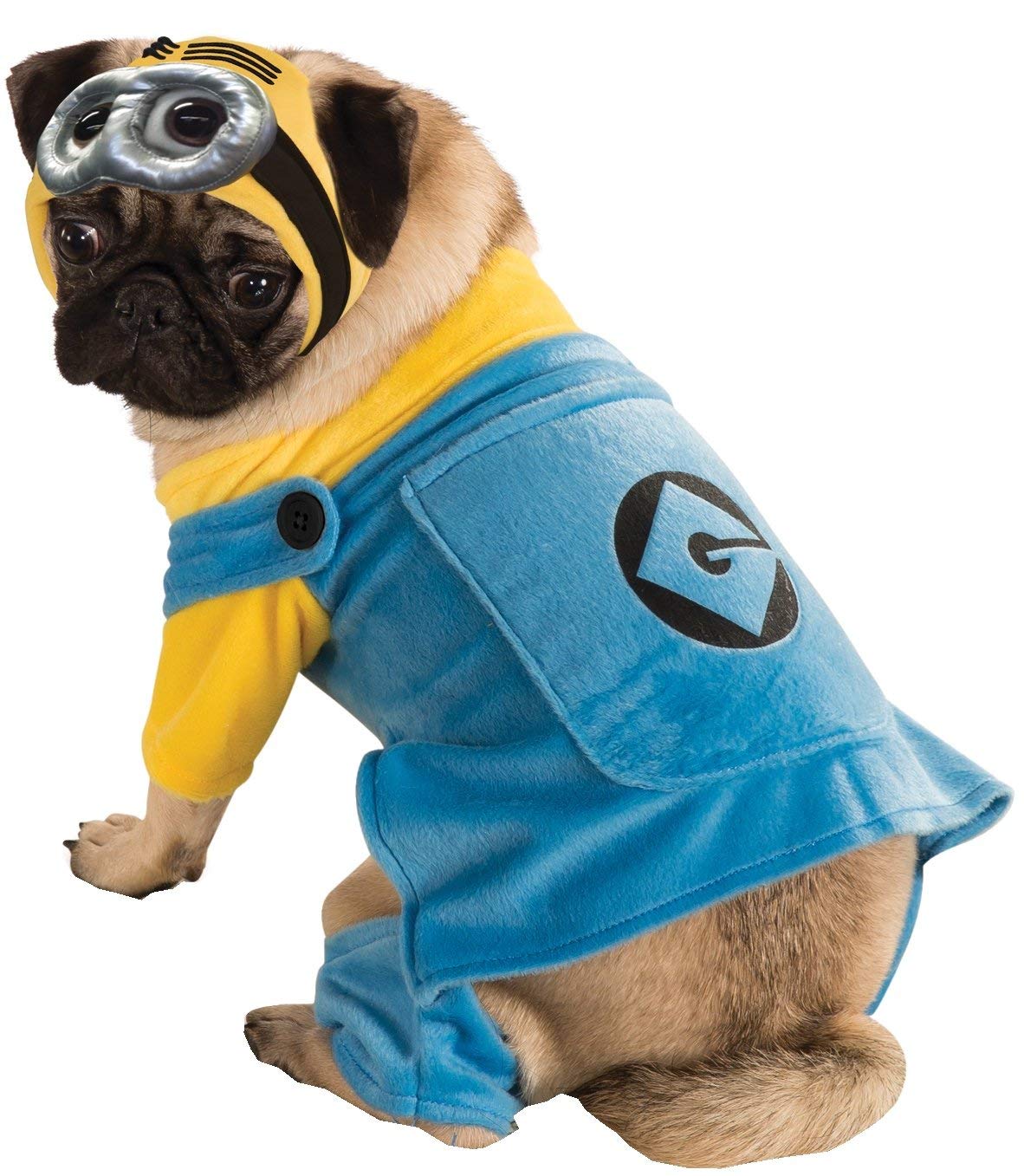 Pug sitting in an isolated white background wearing a minion costume