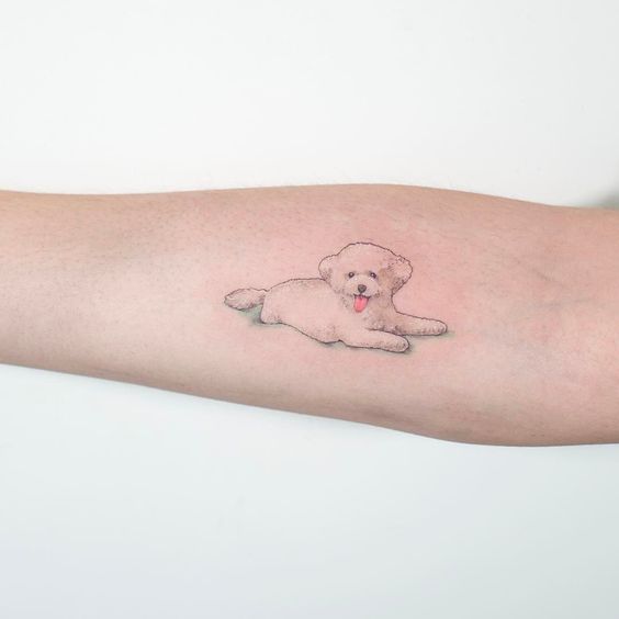 small bichon frise dog lying down tattoo on forearm