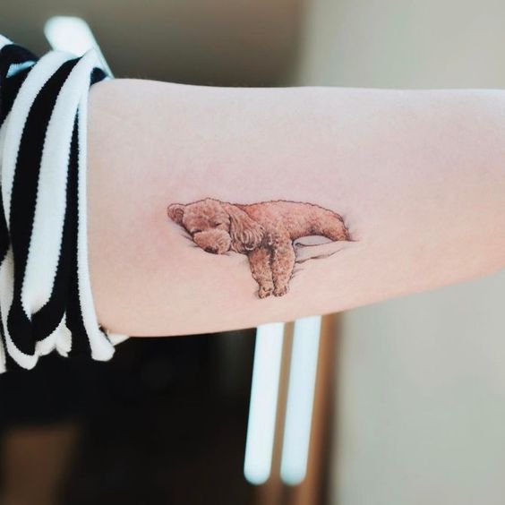 sleeping small poodle dog tattoo on forearm