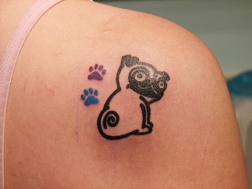 pug sitting with violet and blue paw prints tattoo on the shoulder