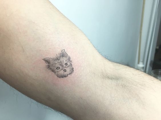 small face of dog tattoo on the biceps