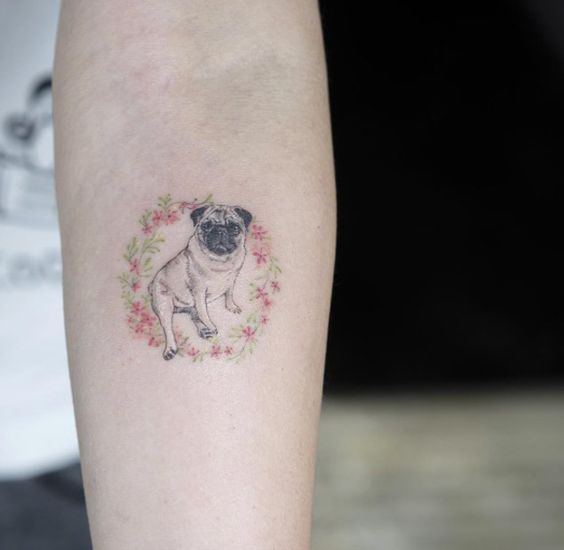 pug sitting inside a flowers and leaves circle tattoo on forearm