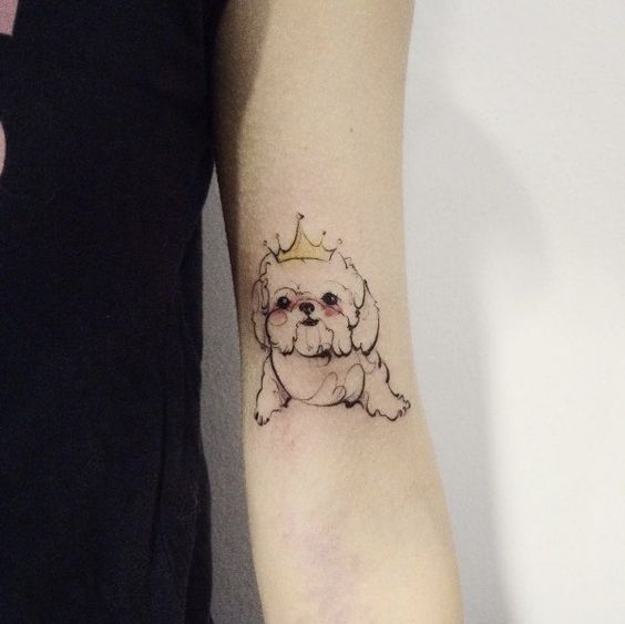 small dog wearing a yellow crown tattoo on biceps