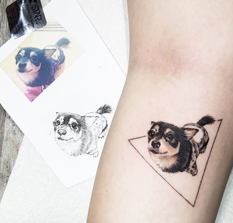sitting small dog inside a triangle tattoo on the forearm
