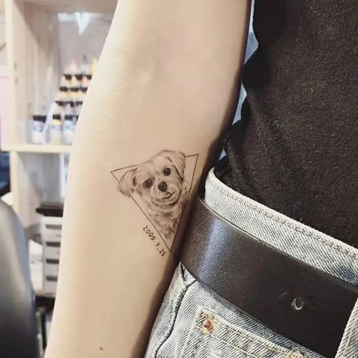 3D face of small dog inside a triangle tattoo on forearm