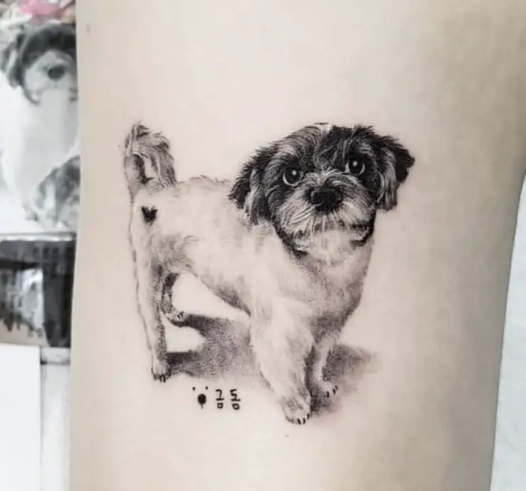 3D small shihtzu dog tattoo