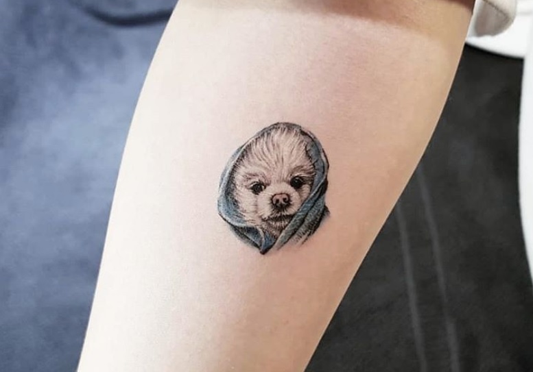 face of small dog wearing hoodie tattoo on the forearm