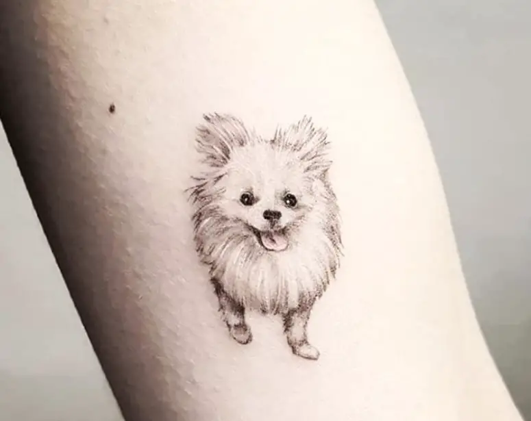 small dog with its tongue sticking out tattoo on forearm