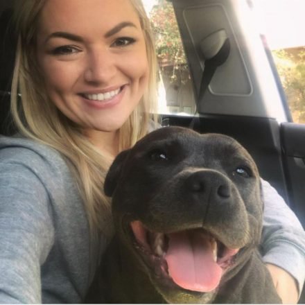 35 Cutest Staffordshire Bull Terrier Pictures Ever - The Paws