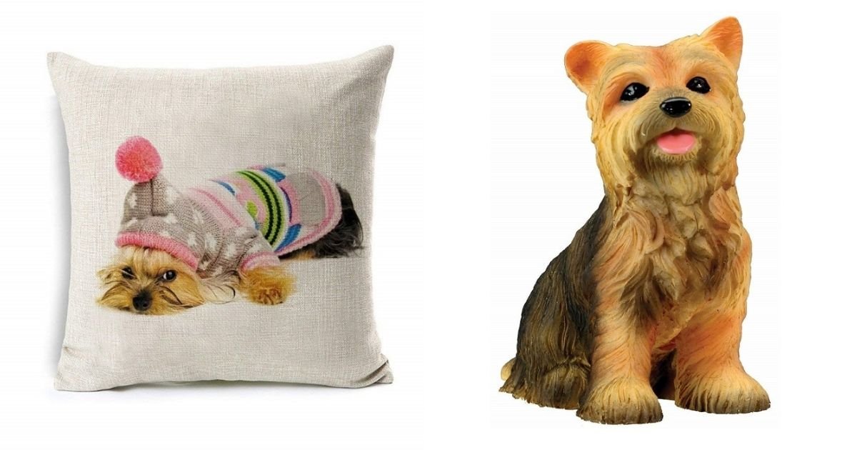 18 Best Gifts for Yorkie Lovers The Paws