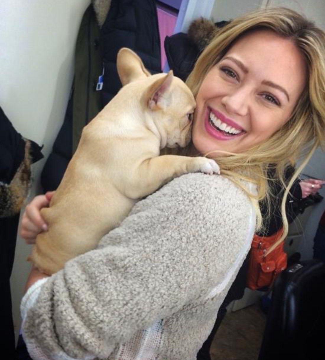 Hilary Duff carrying her French Bulldog while smiling
