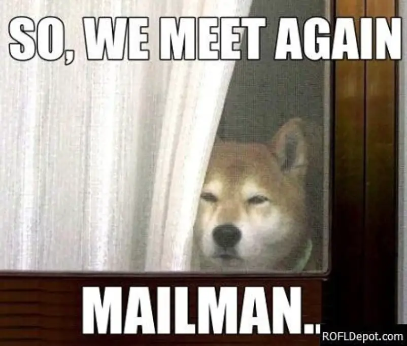 Akita Inu peeking next to the curtain behind the door with its suspicious face photo with a text -