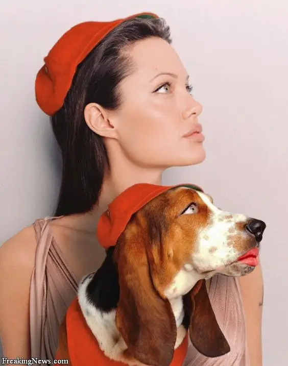 Angelina Jolie looking up with a Basset Hound dog