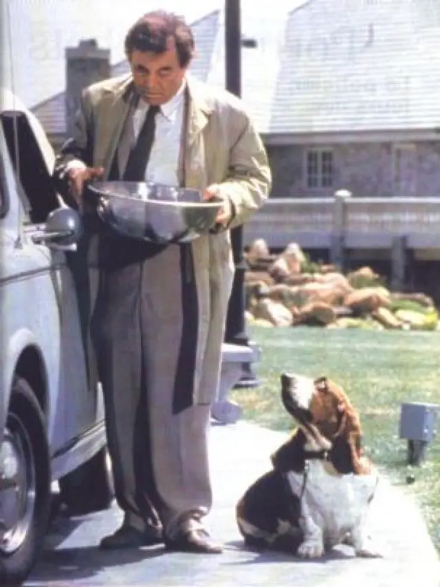 Columbo carrying a bowl while its Basset Hound dog looking up at him