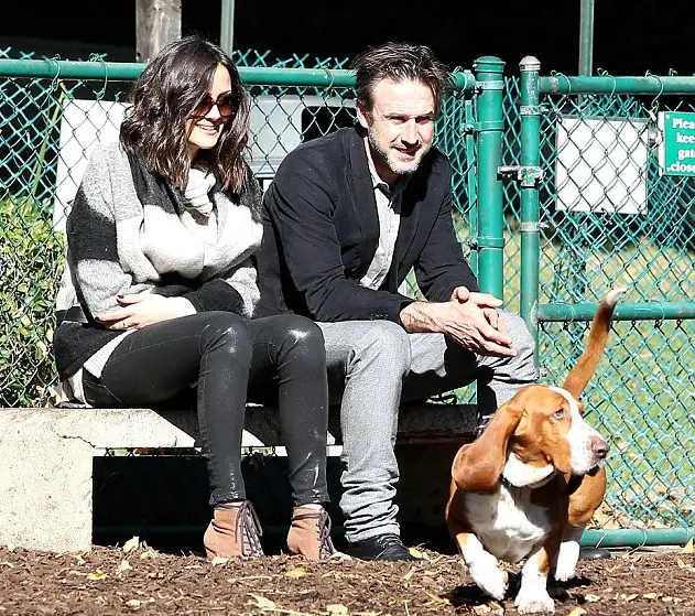 David Arquette sitting at the park looking at its walking Basset Hound