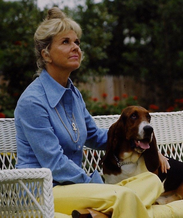Doris Day sitting on the chair with its Basset Hound dog
