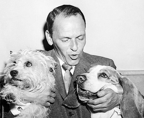 Frank Sinatra holding the face of its Basset Hound dog
