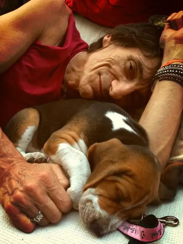 Ronnie Wood sleeping with its Basset Hound dog