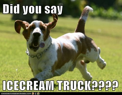 Basset Hound running in the field photo with a text 